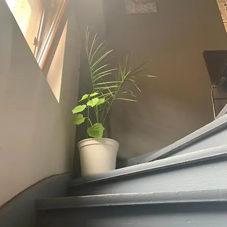 Trakia Street Apartamento *