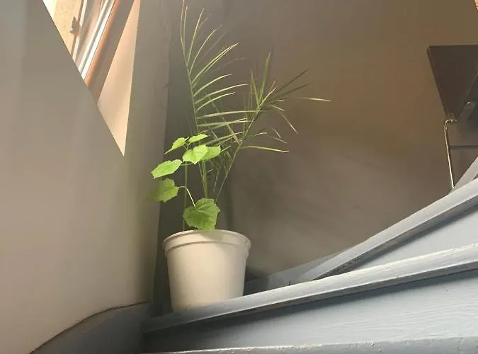 Trakia Street Appartement *